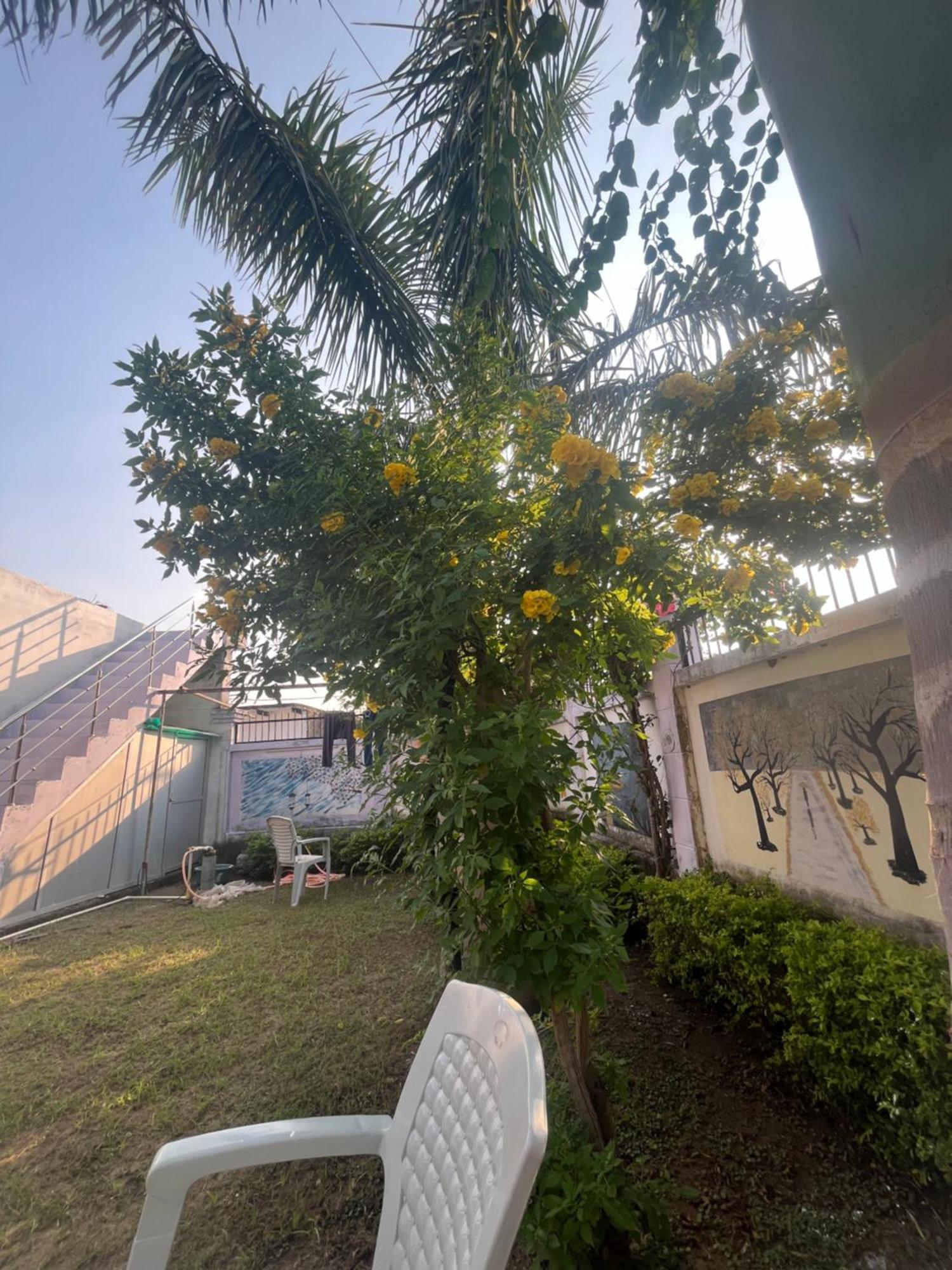 Sunrise Bed & Breakfast ขชุราโห ภายนอก รูปภาพ