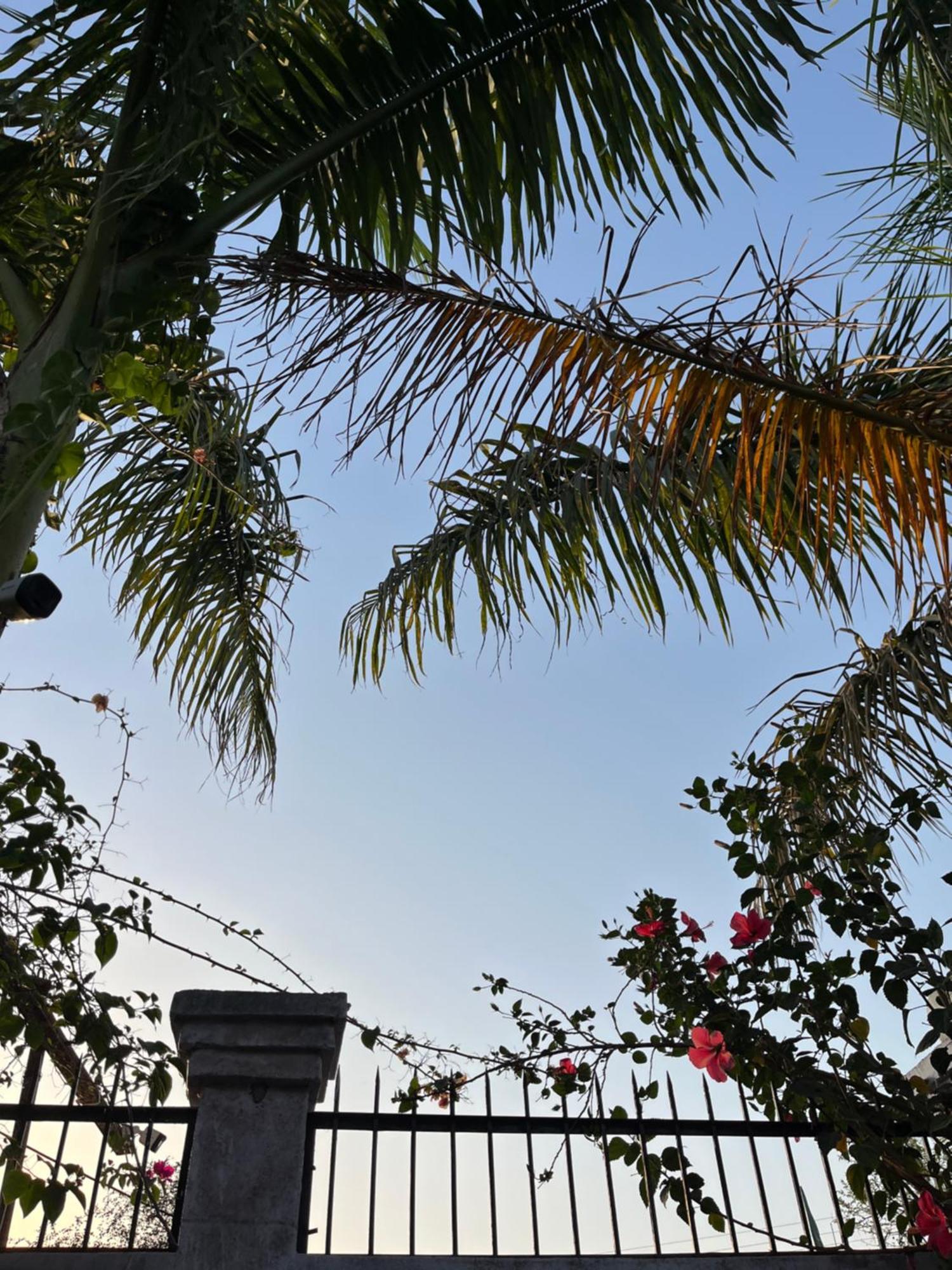 Sunrise Bed & Breakfast ขชุราโห ภายนอก รูปภาพ
